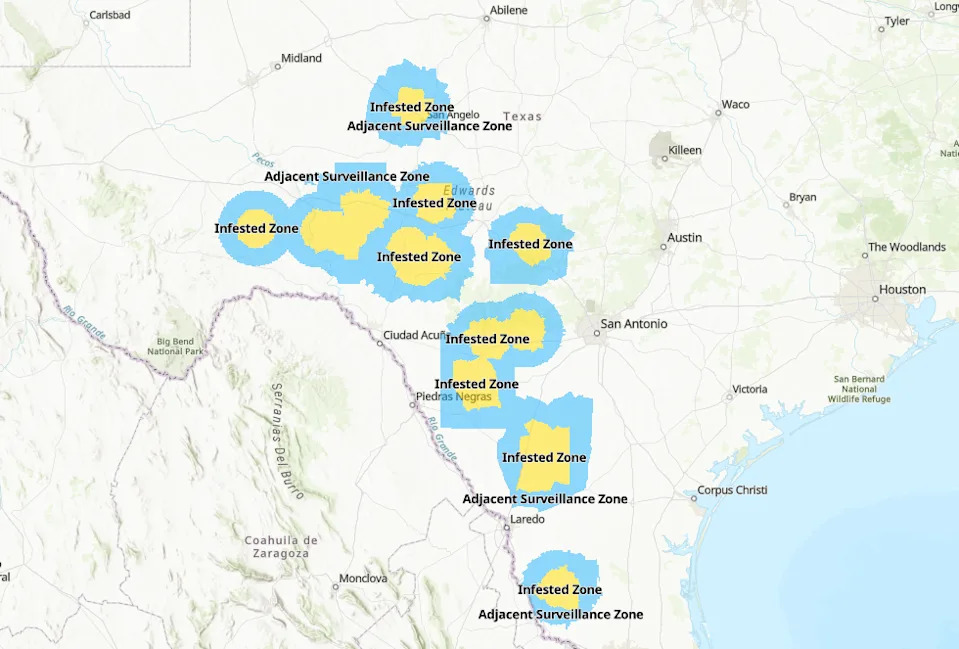 A screenshot of the Texas Animal Health Commission New World screwworm quarantine zone map on July 1, 2026.