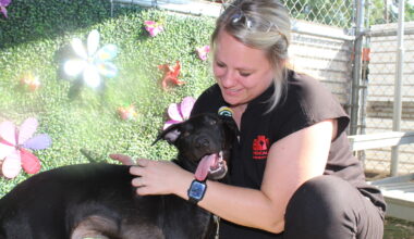 ally-medical-er-pet-supply-drive-texas.jpg
