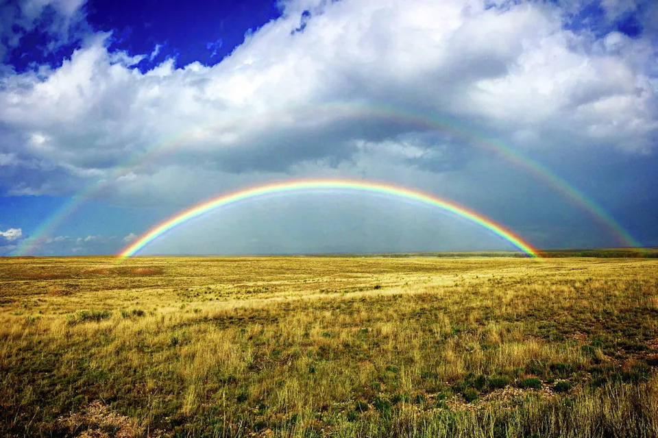 Freeman Family Ranches is selling a combined 87,000 acres across Texas and Oklahoma for $127.7 million. (Courtesy of Hall and Hall)