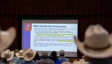 Where is screwworm in Texas? Track cases here.