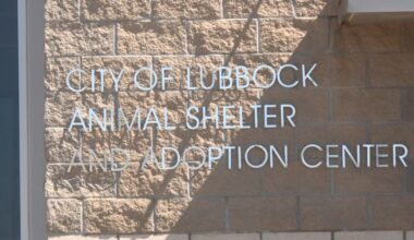 Lubbock City Council considers expanding support for Animal Services