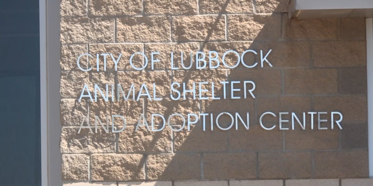 Lubbock City Council considers expanding support for Animal Services