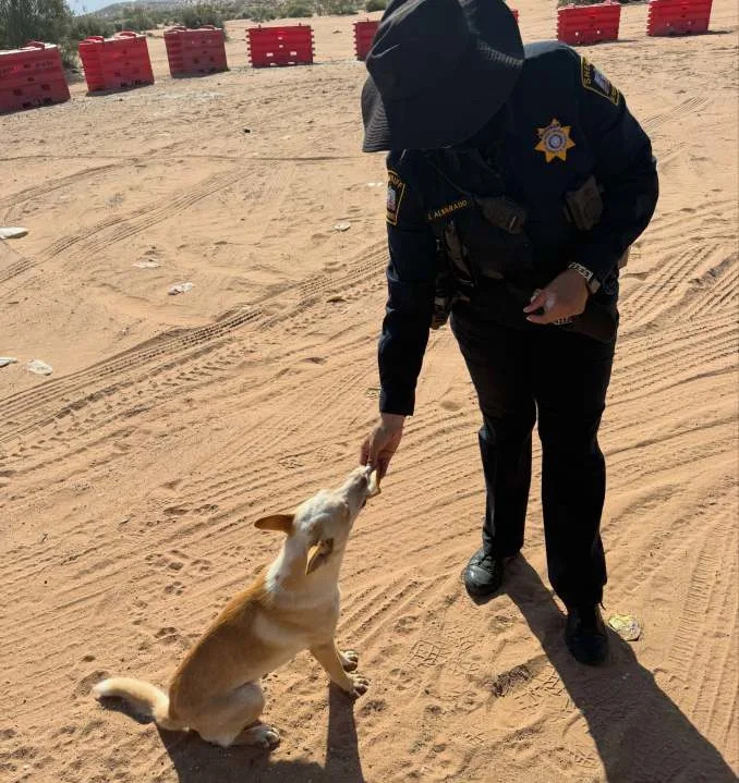 El Paso County Sheriff staff and jail inmates cleaning up Red Sands after Fourth of July celebrations on Monday, July 5. Photo courtesy of the El Paso County Sheriff’s Office.