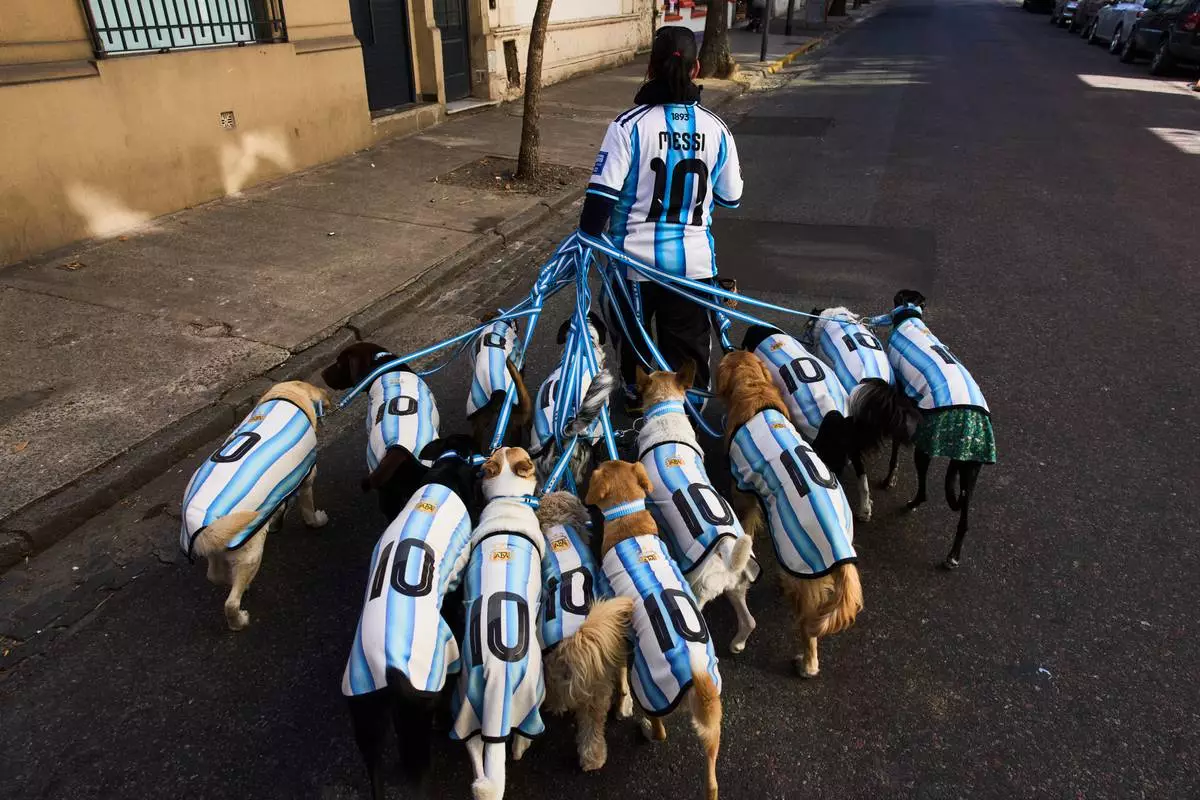 Dog walker Nahuel Meneghini walks dogs dressed in jerseys of the Argentine national soccer team in Buenos Aires, Argentina, Thursday, July 2, 2026. (AP Photo/Rodrigo Abd)