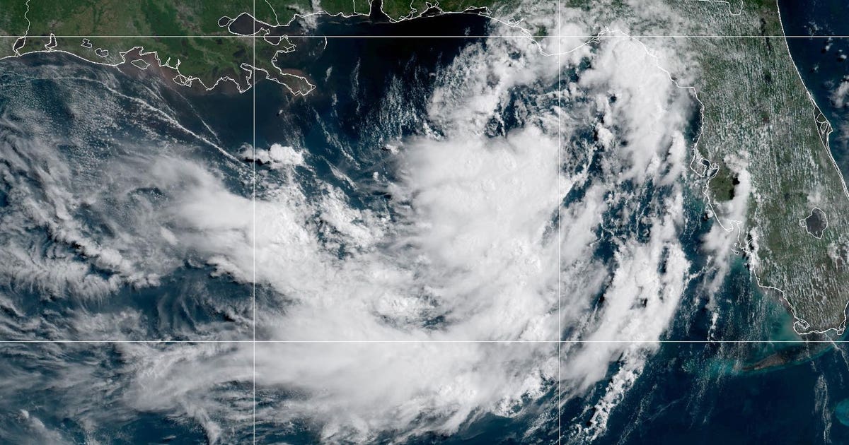Tropical Storm Bertha has formed in Gulf of America