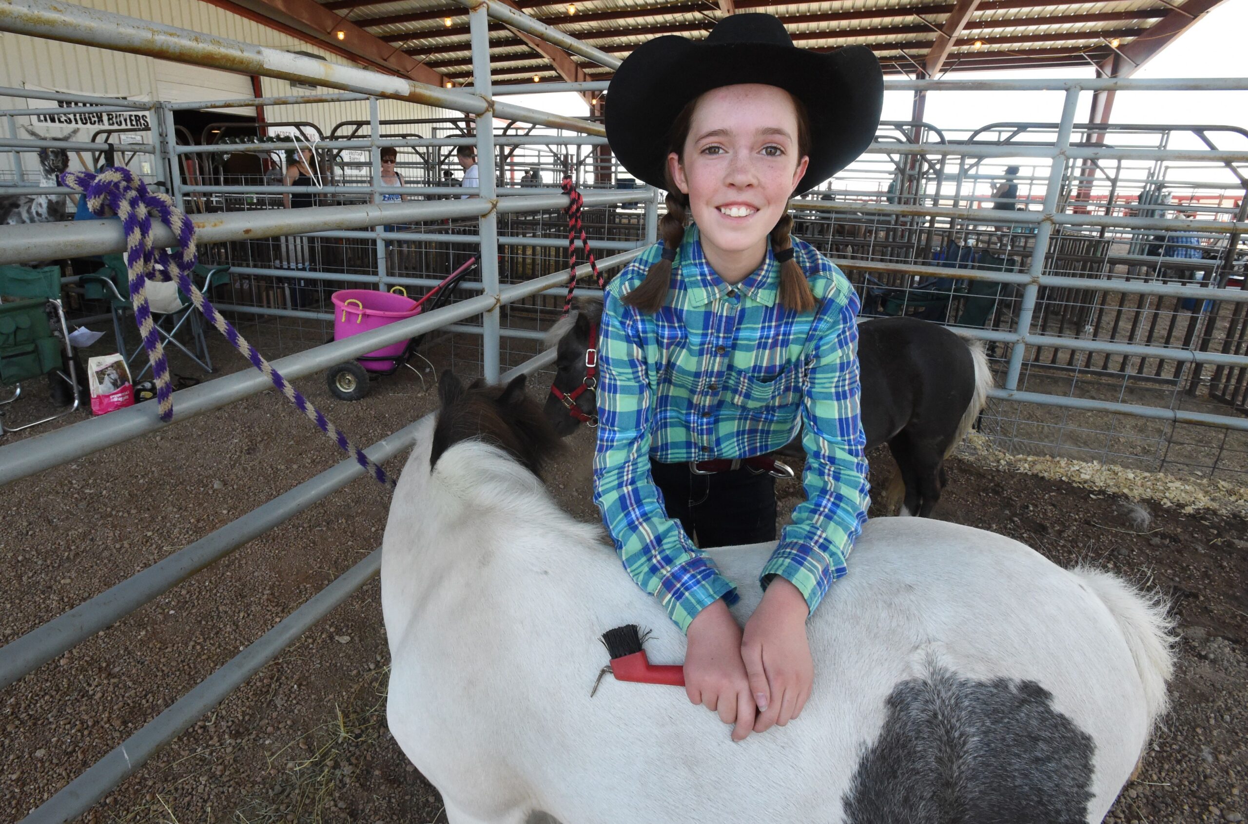 Scenes from the El Paso County Fair in Calhan on Sunday, July 17, 2016. photo by Jerilee Bennett/The Gazette