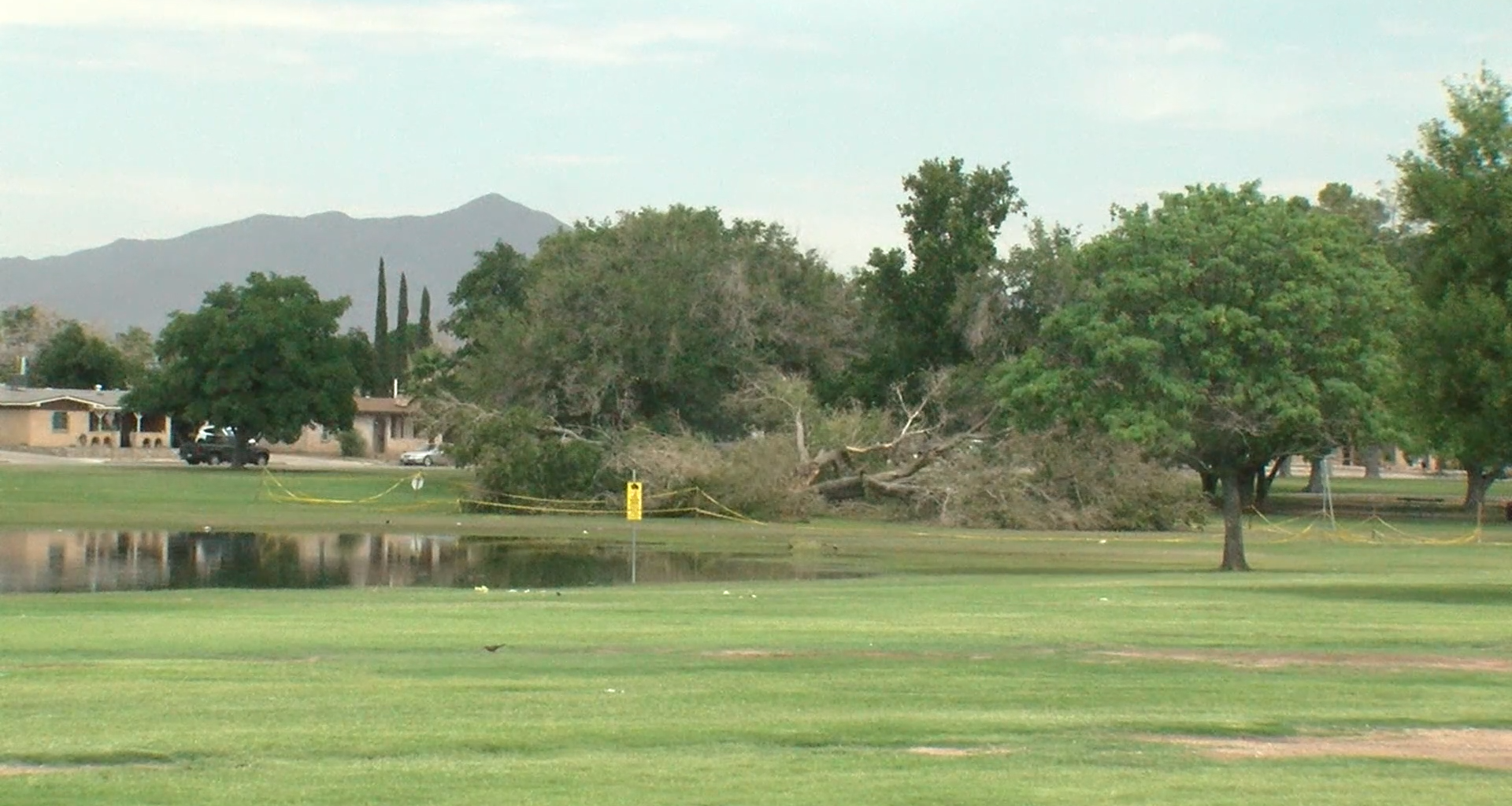 Neighbors upset over trees cut down at Album Park