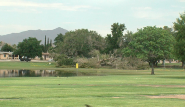 Neighbors upset over trees cut down at Album Park