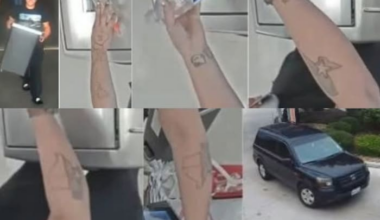 BCSO searching for woman accused of breaking into mailboxes in northwest Bexar County