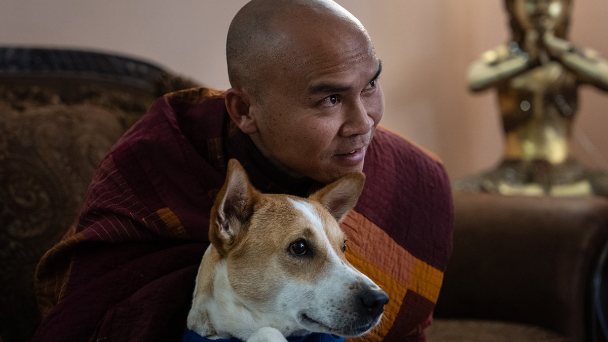 Walk for Peace puts Fort Worth monk and rescue dog in spotlight – NBC 5 Dallas-Fort Worth