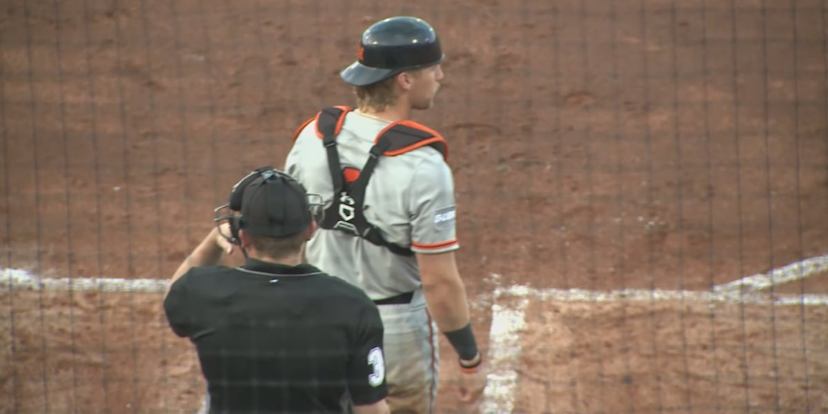 Former Sam Houston catcher Walker Janek named Astros Future Player of the Week