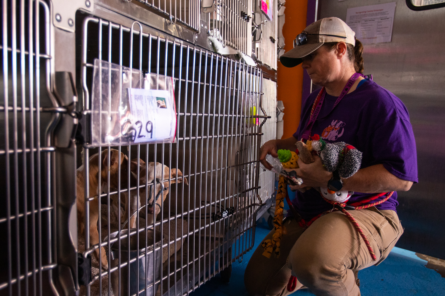 Podcast: Why the city of El Paso’s animal service bills to county, others are rising