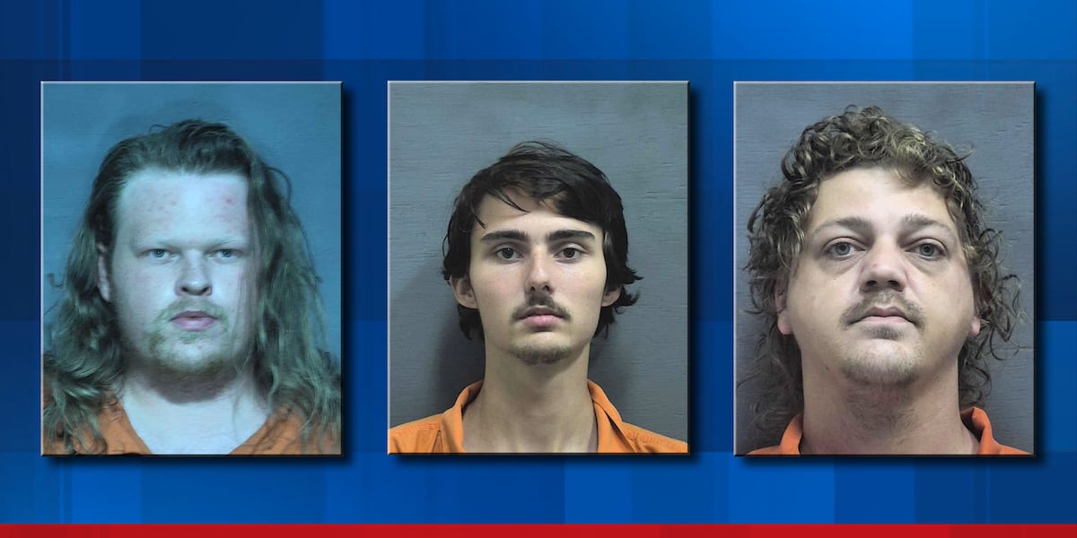 Trio of child sex crime arrests made in Houston County