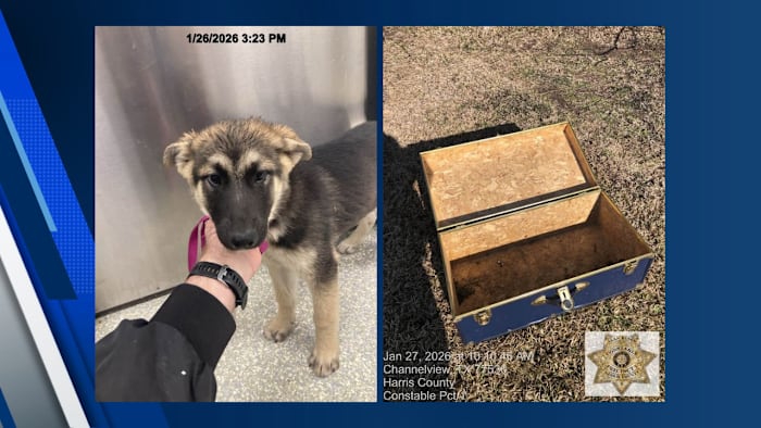 Man arrested months after puppy found locked in trunk in Channelview field, constable says