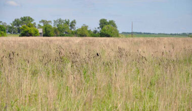 USDA accepts over 106,000 acres in Texas into CRP USDA accepted more than 106,000 acres in Texas into the Conservation Reserve Program for 2026.