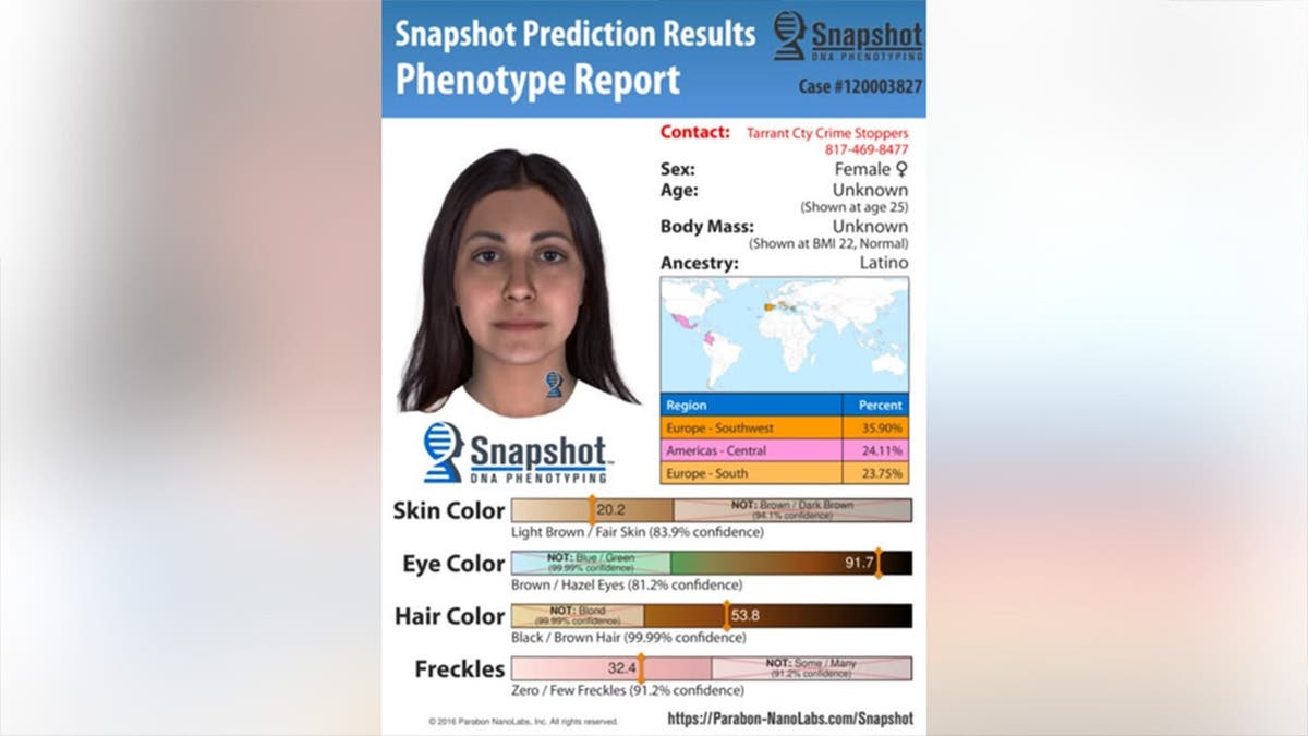 Constructed profile of the suspect from scene DNA