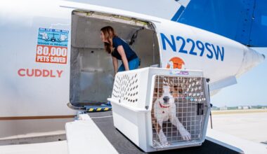 Donate emergency pet supplies for Central Texas – NBC 5 Dallas-Fort Worth