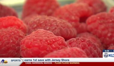 Cyclospora cases climbing in Texas, across U.S.; doctors share prevention steps