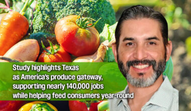 Texas A&M Study Finds Mexican Produce Through Texas Generates $26 Billion for U.S. Economy