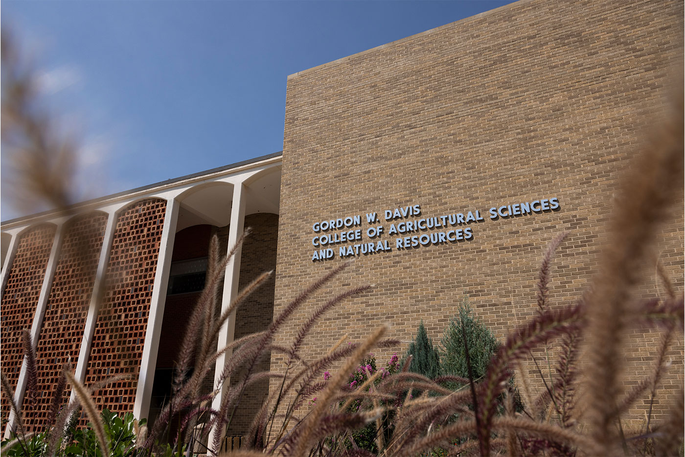 Gordon W. Davis College of Agricultural Sciences and Natural Resources building exterior
