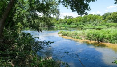Austin weighs Dog’s Head environmental concerns
