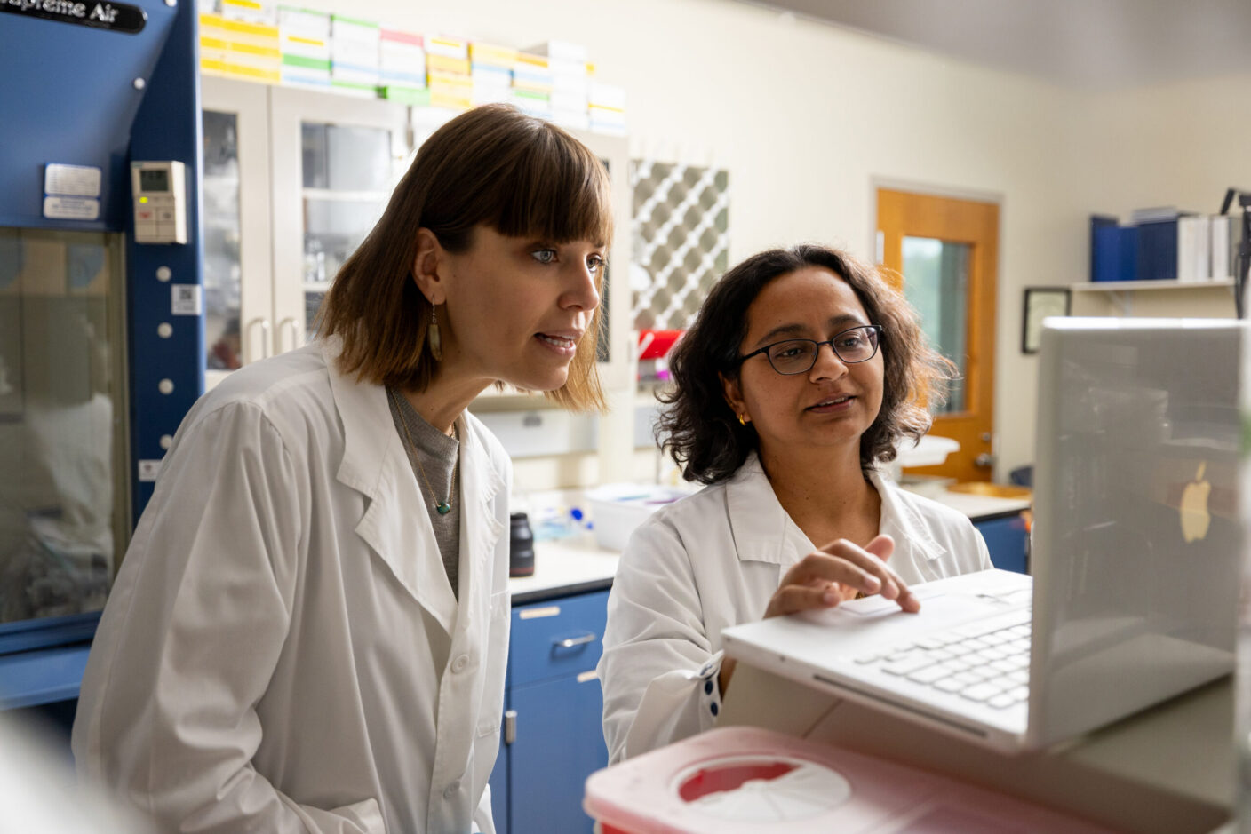 A photo of two women looking at a laptop computer in a research laboratory.