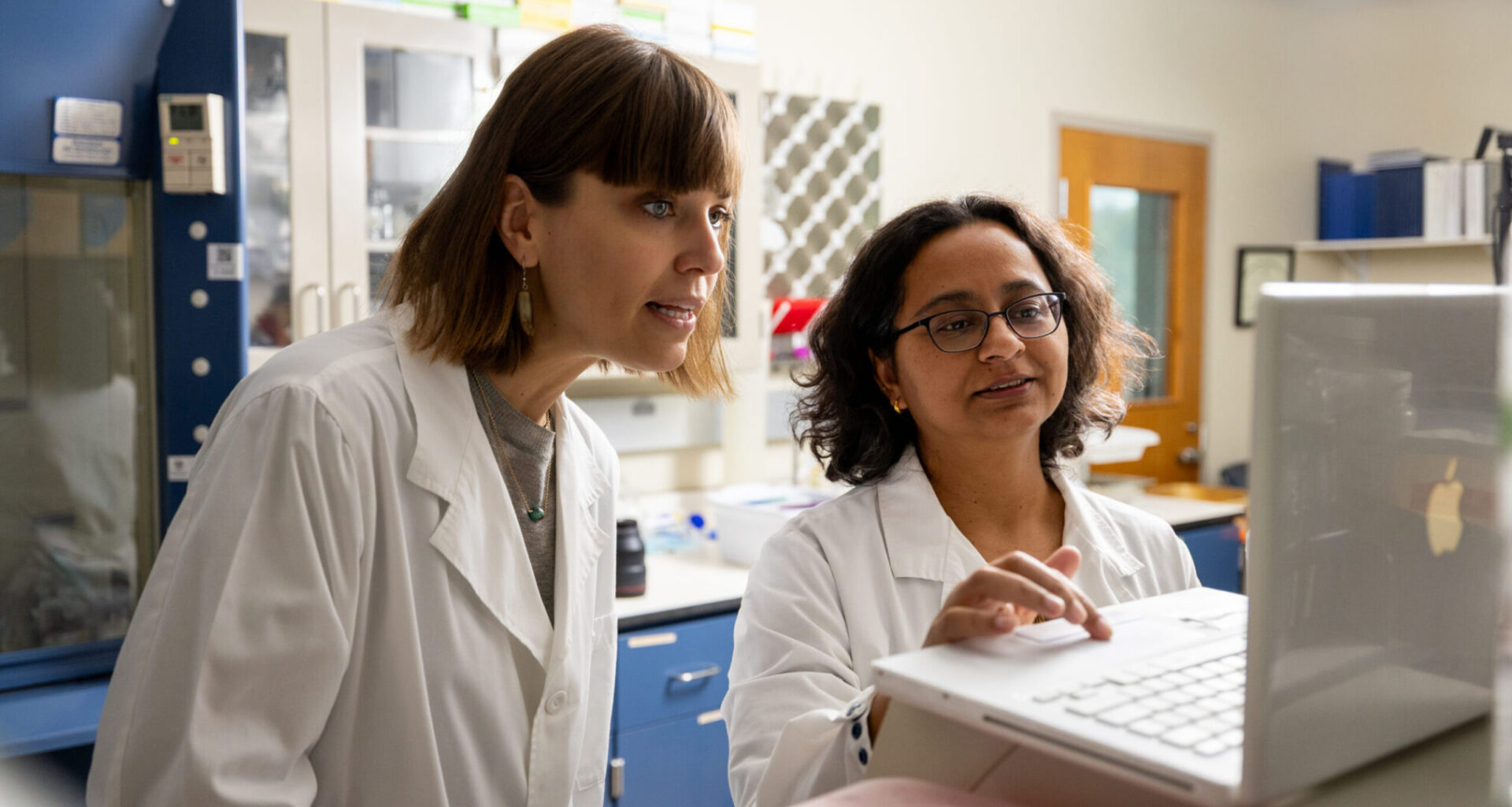 A photo of two women looking at a laptop computer in a research laboratory.