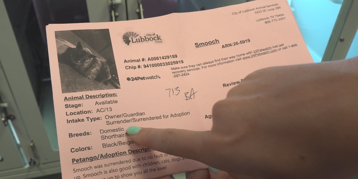 LAS sees sharp rise in pet surrenders, urges owners to explore options first