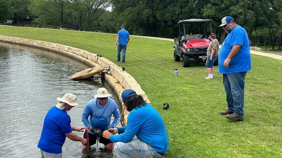 Fishing returns to Bedford Boys Ranch Lake after 2025 fish die-off – NBC 5 Dallas-Fort Worth