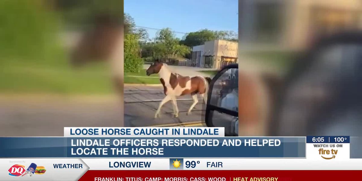Watch: Runaway horse ‘Texas’ roams through Lindale with officer in pursuit