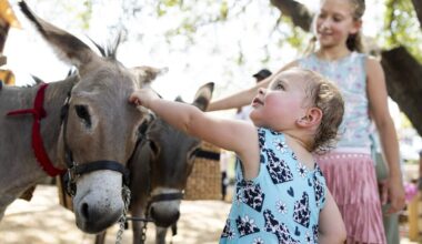Fort Worth Stockyards celebrates National Day of the Cowboy