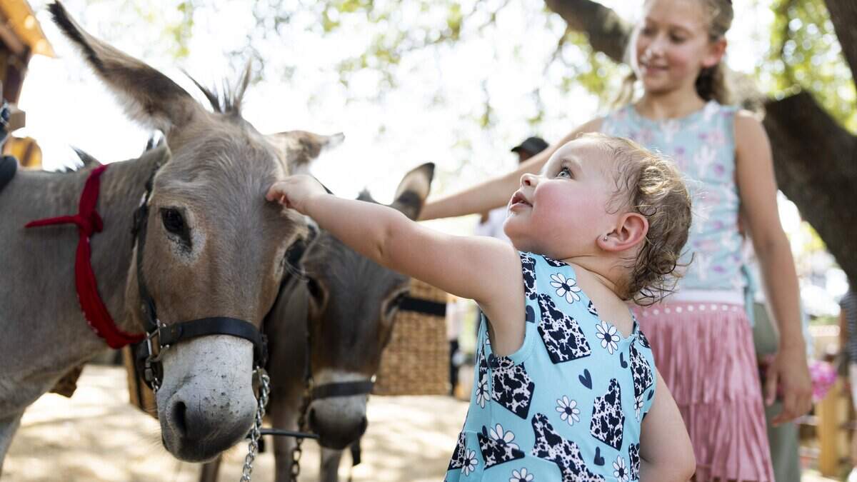 Fort Worth Stockyards celebrates National Day of the Cowboy