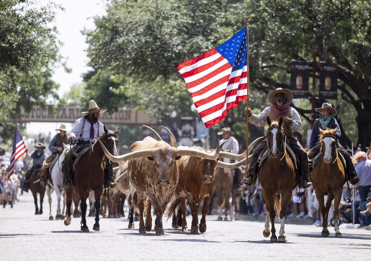 Spectators line the streets to watch the daily cattle drive in the Fort Worth Stockyards during National Day of the American Cowboy on Saturday, July 25, 2026 in Fort Worth. The cattle drive happens at 11:30 a.m. and 4 p.m. every day.