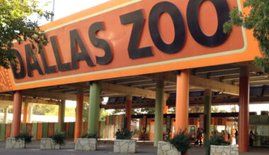 For two days only, you can enjoy the Dallas Zoo for just $1 as the legendary attraction brings back its signature summer event