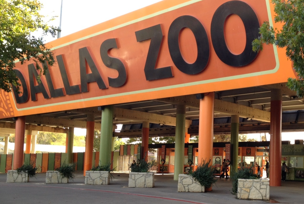 For two days only, you can enjoy the Dallas Zoo for just $1 as the legendary attraction brings back its signature summer event