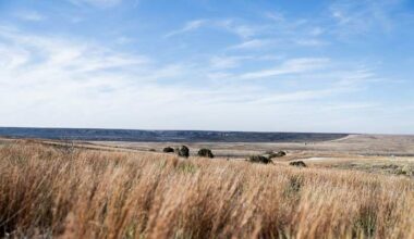 Texas Panhandle shaken by strongest earthquake in five years