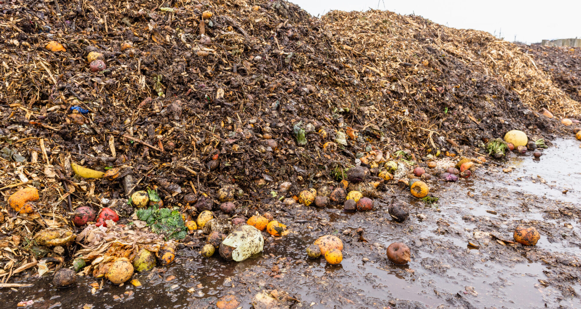 Large heap of rotten fruits and vegetables at compost sorting and recycling station.