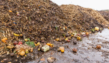 Large heap of rotten fruits and vegetables at compost sorting and recycling station.