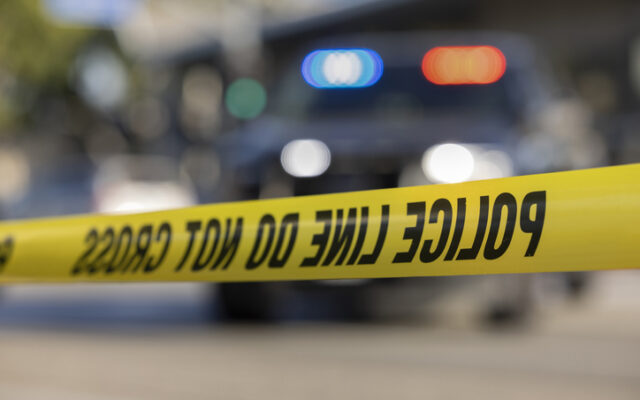 Man shot dead on South Side identified, suspect in police custody