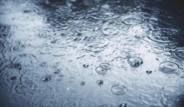 Houston forecast: Heavy rain potential ramps up this weekend with a street flooding threat
