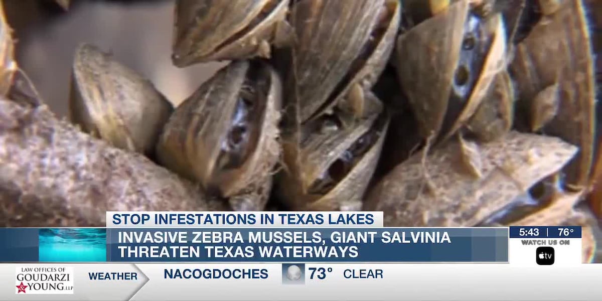 Texas lakes face invasive species threat ahead of holiday weekend