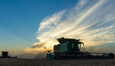 DFW wheat weathers tough season better than rest of Texas