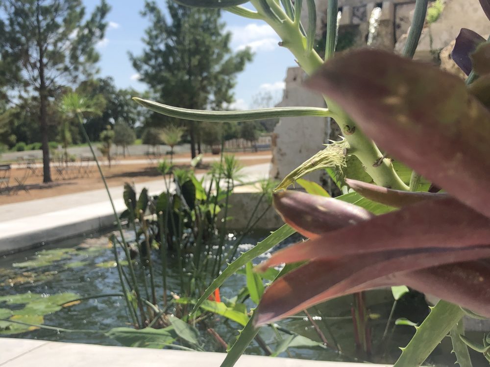 Houston Botanic Garden Welcome Fountain