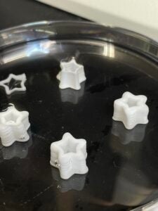3D printed tissue in the shape of stars sits in a dish on a dark table