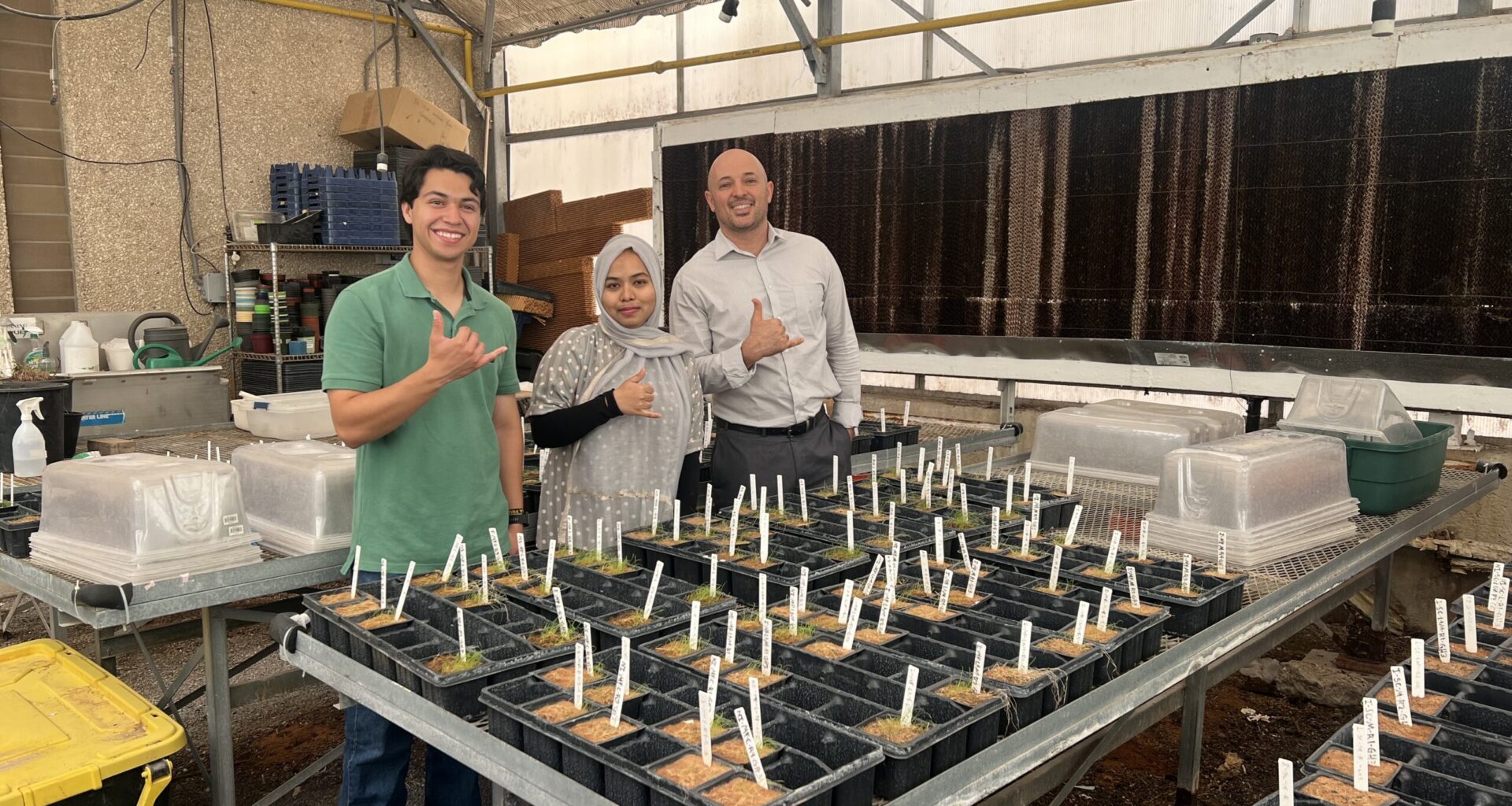 Hamidreza Sharifan, Ph.D. (right), an assistant professor of chemistry at UTEP, served as the corresponding author of a study that found a low-dose leaf spray combining manganese oxide nanoparticles and chitosan could give farmers around the world a practical new tool to keep growing tomatoes on land that salt has rendered increasingly unproductive. The UTEP research team also included doctoral student Nusrat Easmin (center) and Luis Salmeron Covarrubias, a graduate student in environmental engineering (left).