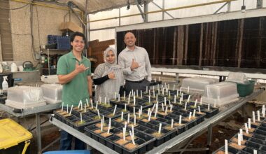 Hamidreza Sharifan, Ph.D. (right), an assistant professor of chemistry at UTEP, served as the corresponding author of a study that found a low-dose leaf spray combining manganese oxide nanoparticles and chitosan could give farmers around the world a practical new tool to keep growing tomatoes on land that salt has rendered increasingly unproductive. The UTEP research team also included doctoral student Nusrat Easmin (center) and Luis Salmeron Covarrubias, a graduate student in environmental engineering (left).