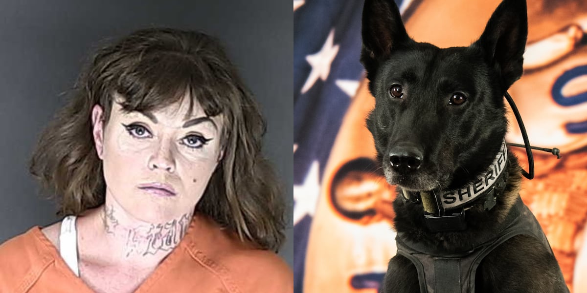 K9 helps arrest felony suspect hiding in El Paso County home