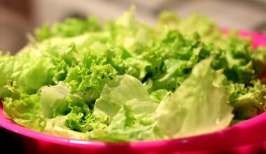 Cyclospora is showing up in Texas again — and your salad could be part of the story