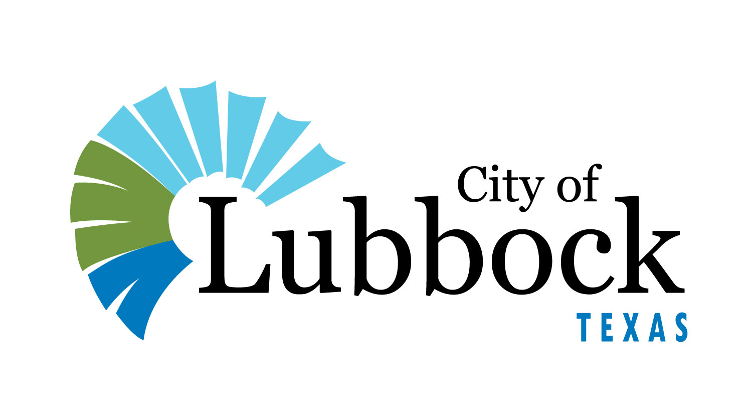 Lubbock Voters to Decide Special City Council Runoff — The Amarillo Pioneer