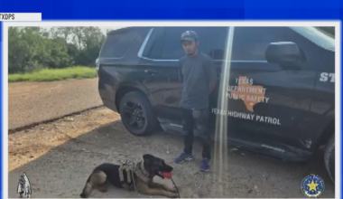 Texas DPS K-9 locates man hiding in brush during border operation